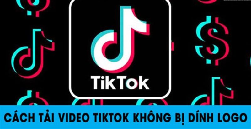 TikTok downloader pc