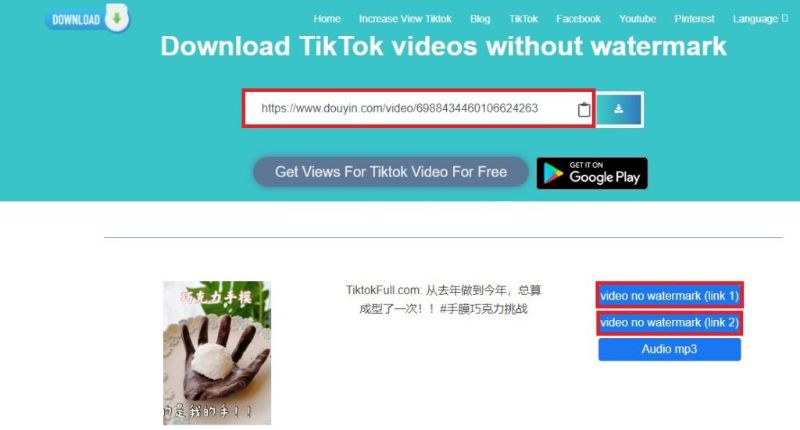 TikTok downloader pc