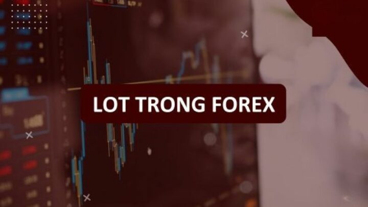 cach-tinh-lot-trong-forex